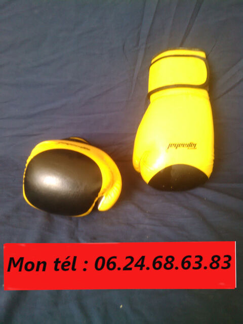 Gants de boxe Taj Mahal pour adulte 8 Marseille 10 (13)