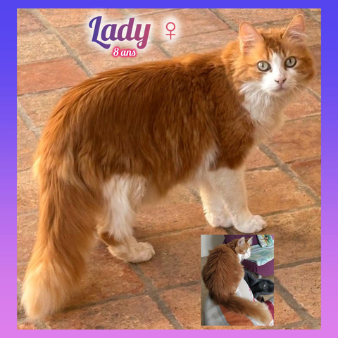 Lady &agrave; l'adoption 75 46100 Figeac