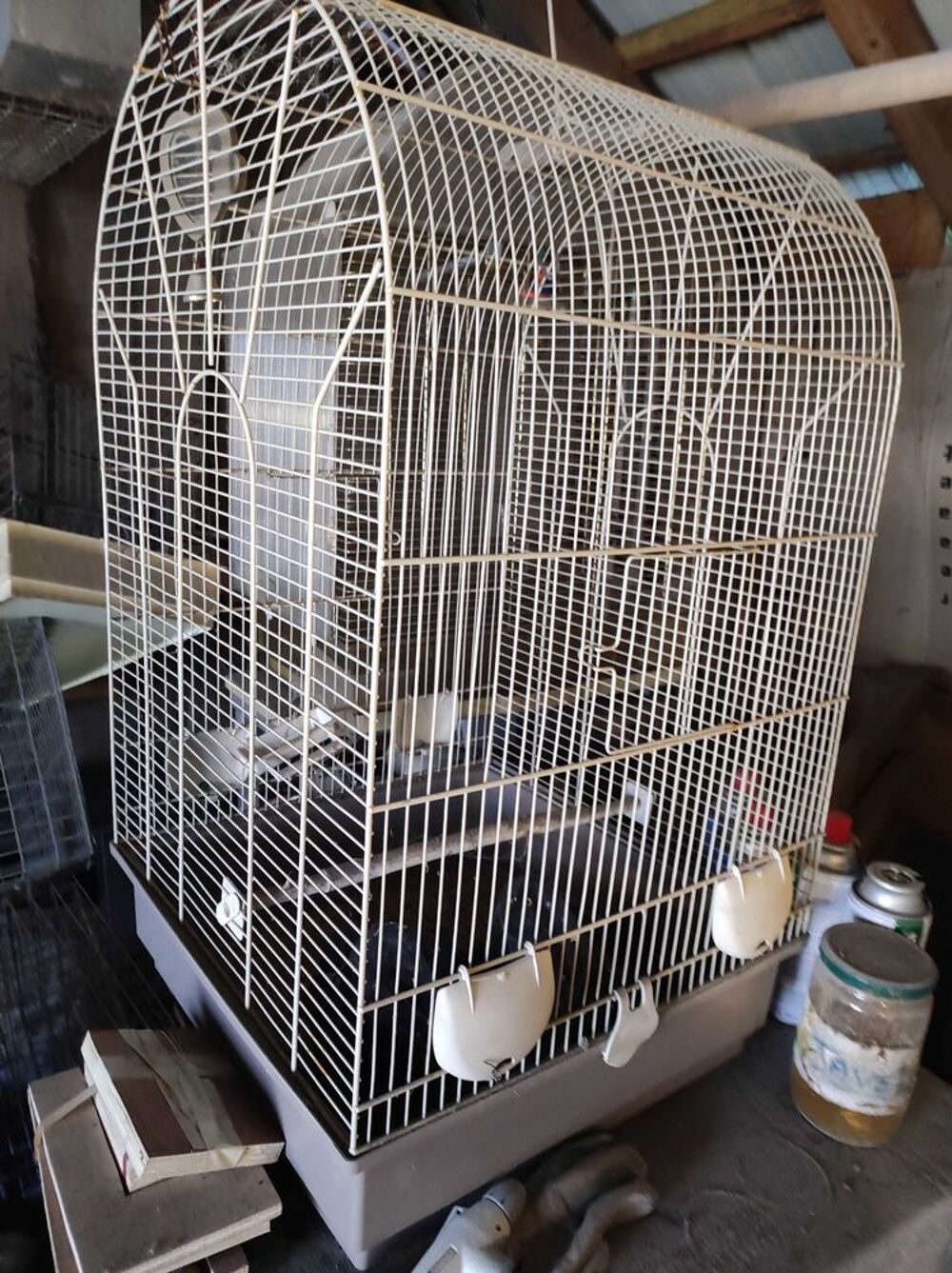 cage+oiseau Jardin
