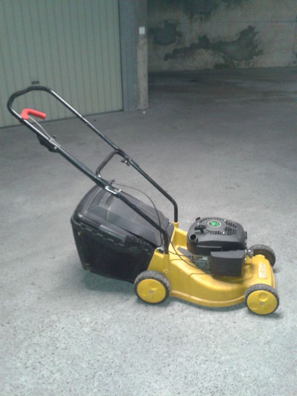 TONDEUSE A GAZON THERMIQUE Jardin