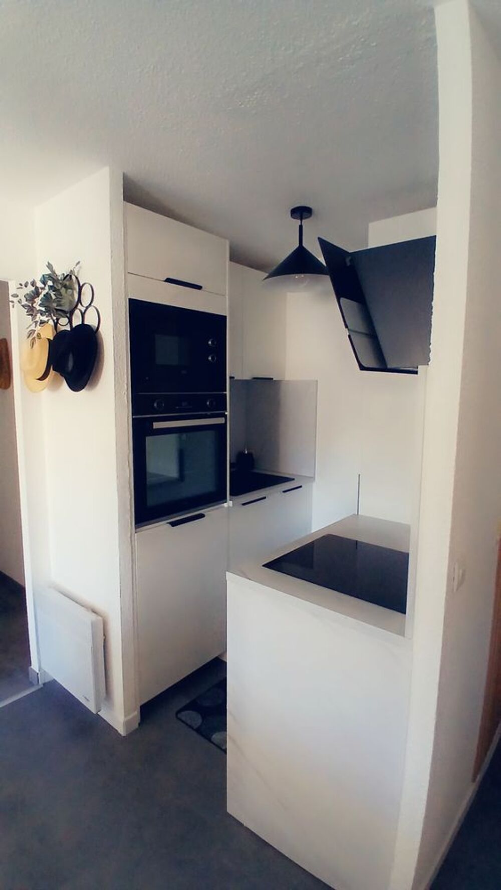 Vente Appartement T2 lumineux 35 m²  plein sud  balcon  vue parc Garage Le grau-du-roi