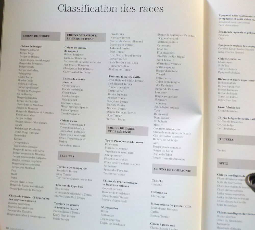 CHIENS DE BERGER Les chiens La grande encyclop&eacute;die visuelle Livres et BD