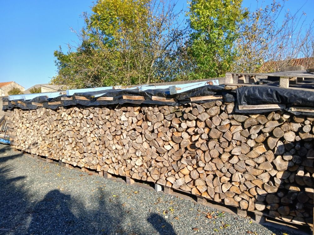 Bois de chauffage sec coup&eacute; en 50 cm Bricolage