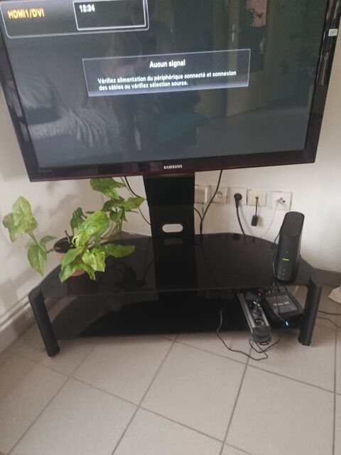 Porte t�l� Sam�on (59)