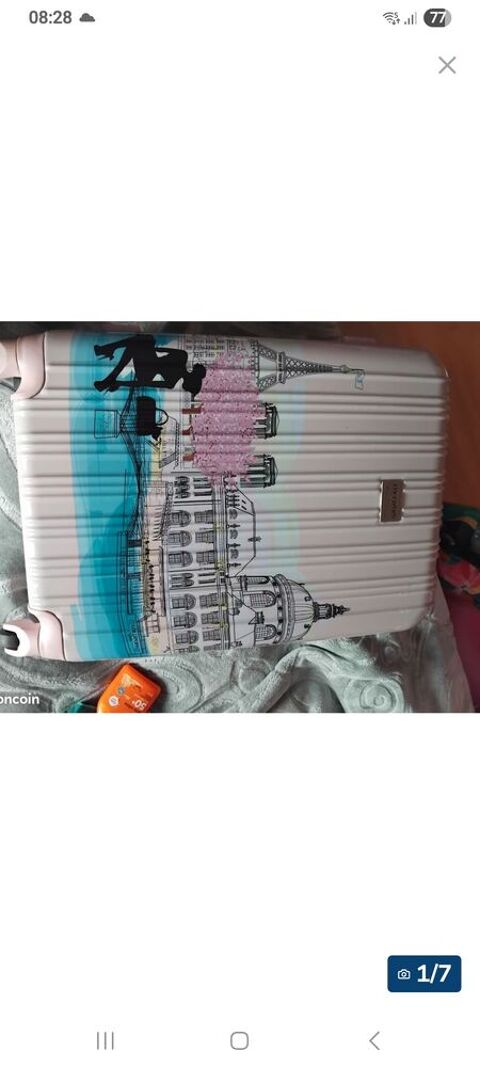 Bagage voyage Ugine (73)