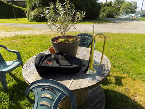 clairon 70 Ménéac (56)