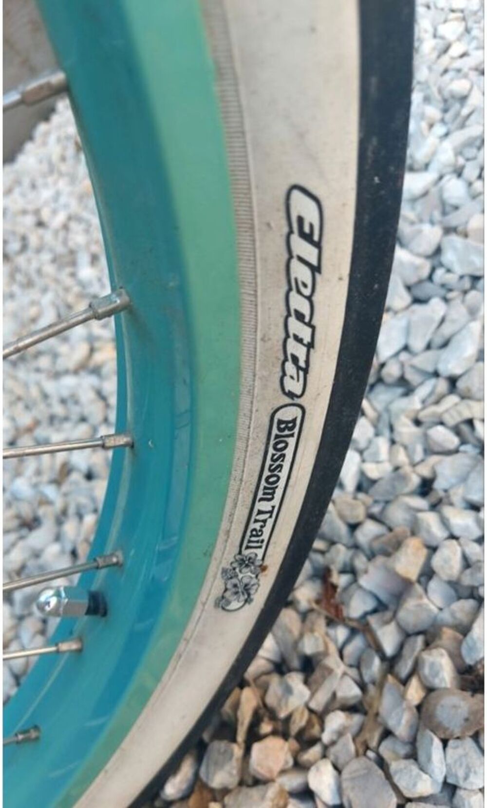 V&eacute;lo cruiser Felt claire 3 - 
3 vitesses Vélos