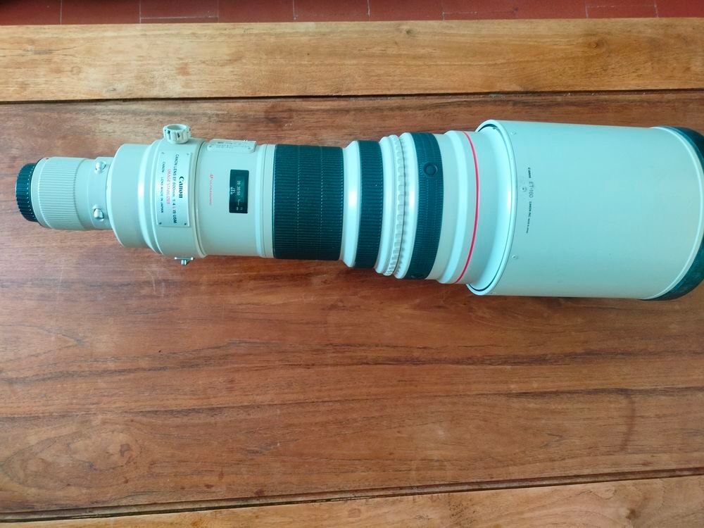 canon 600mm f4 l is Photos/Video/TV