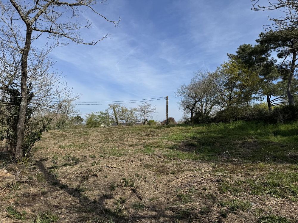Vente Terrain Terrain Guemene penfao