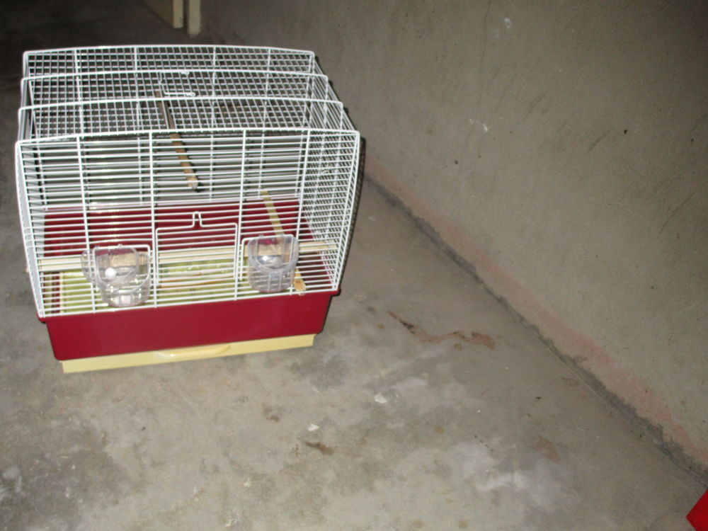   cage pour canaris 