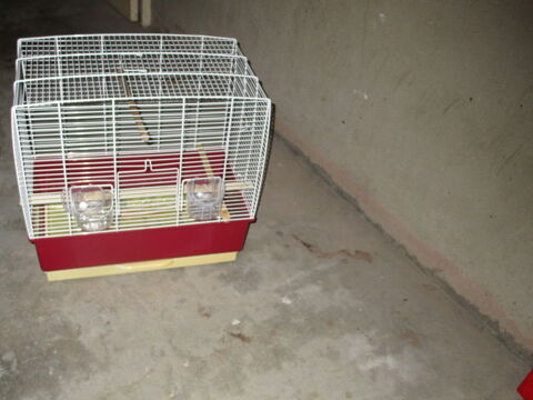 cage pour canaris 5 85000 La roche-sur-yon