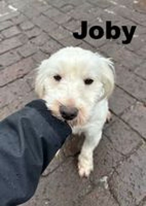   JOBY SE TROUVE DANS UN REFUGE EN CHINE 