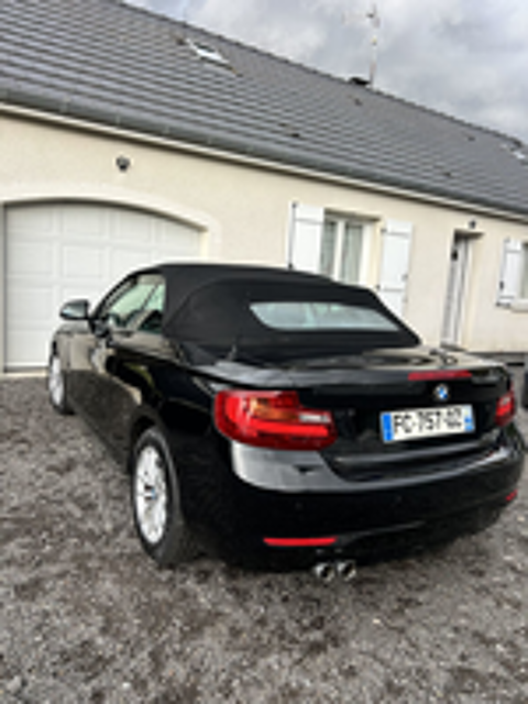 Serie 2 Cabriolet 220d 190 ch Lounge A 2015 occasion 03230 Lusigny
