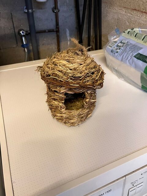 Nid oiseaux 3 77340 Pontault-combault