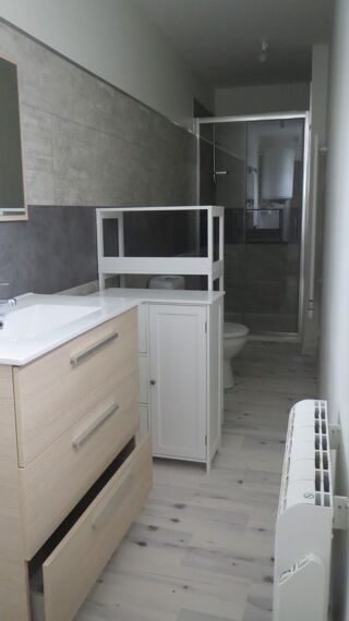  Appartement à louer 3 pièces 47 m²