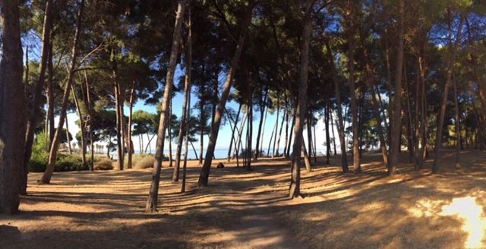   Villa pied dans l'eau presqu'le du VAR Provence-Alpes-Cte d'Azur, Saint-Mandrier-sur-Mer (83430)