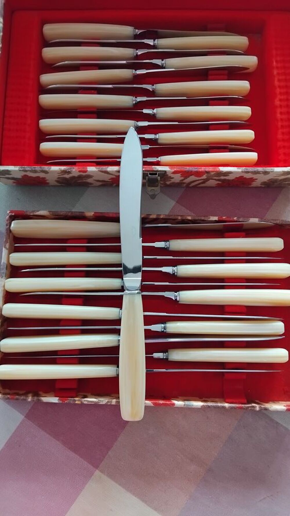 Couteau manche clair en coffret Cuisine