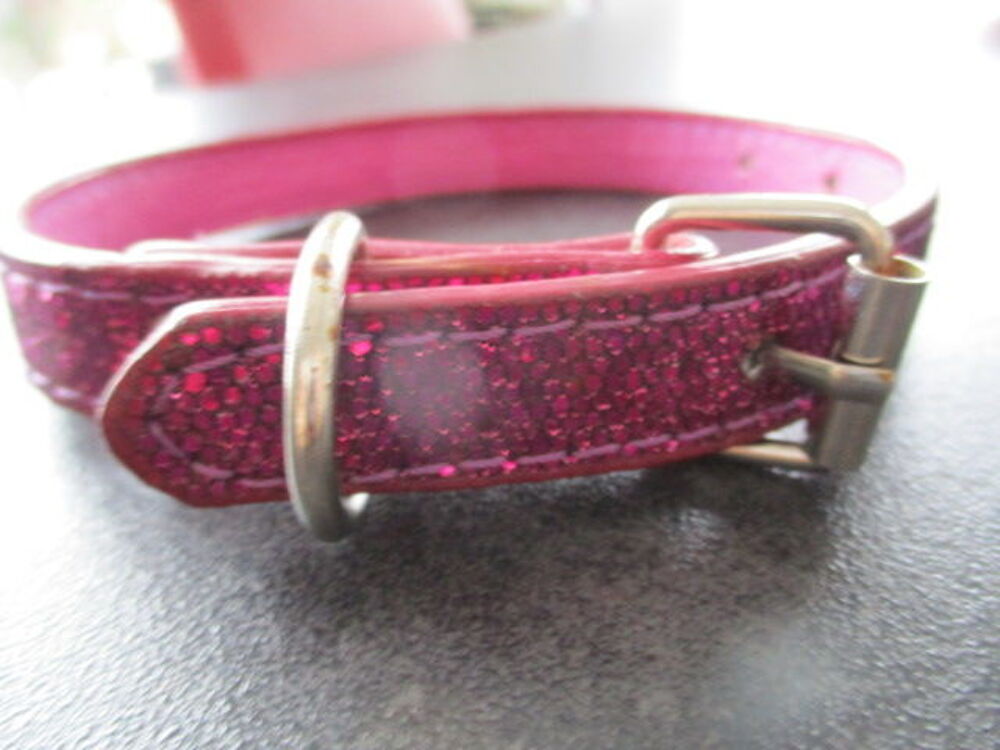   collier pour chiot 