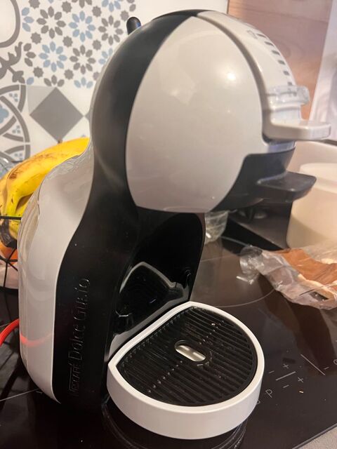 Dulce gusto 25 Sainte-Anne-sur-Brivet (44)