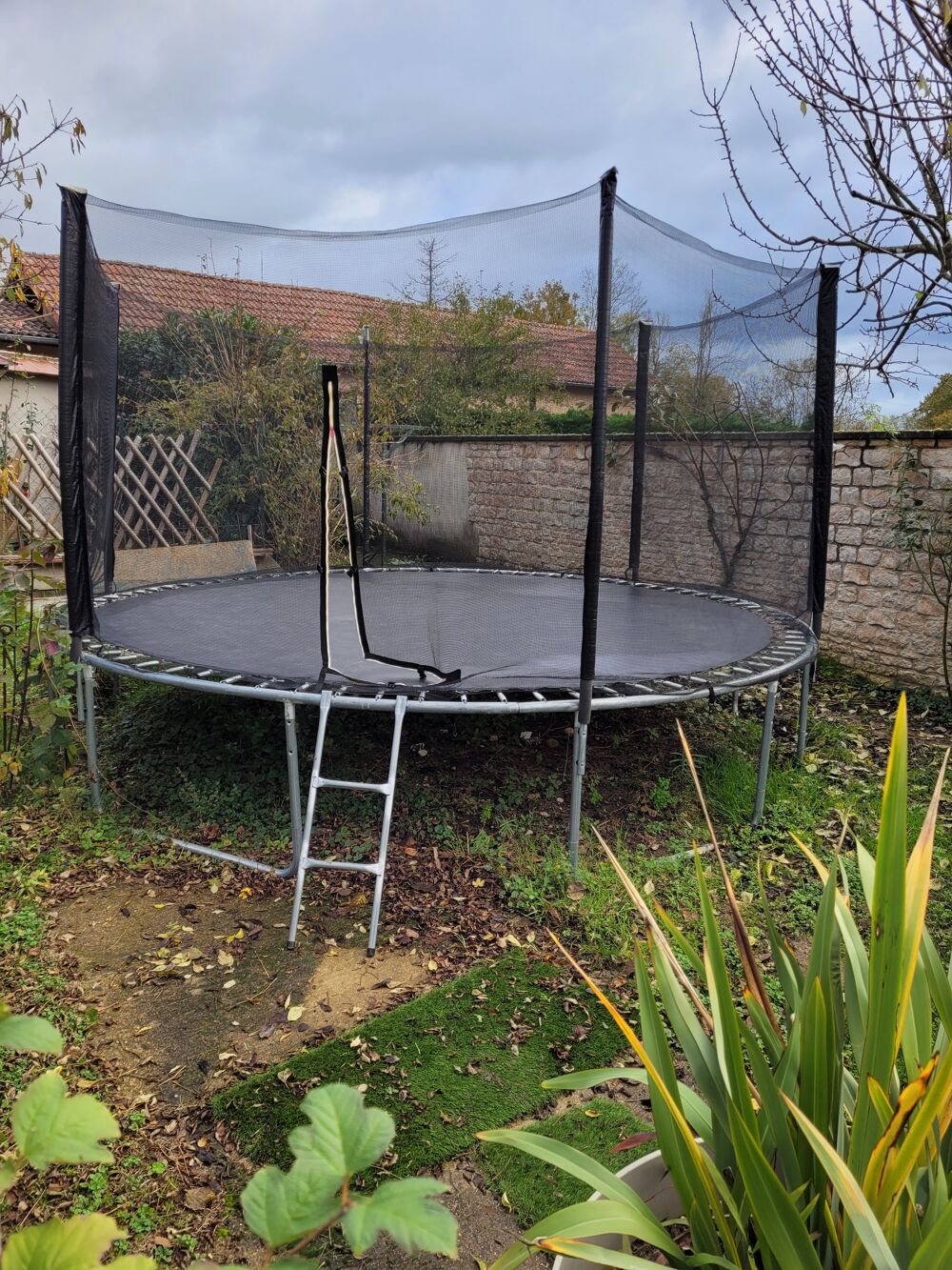 Trampoline Sports