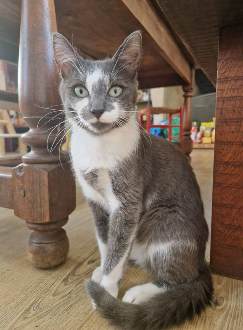 Maïry 220 44000 Nantes