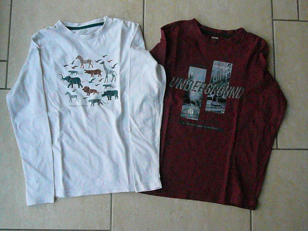 Lot de 2 tee-shirts gar&ccedil;on 10 ans (n&deg;34) Vêtements enfants
