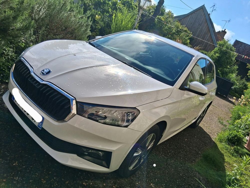 Fabia 1.0 TSI 110 ch DSG7 Ambition 2022 occasion 41300 Salbris