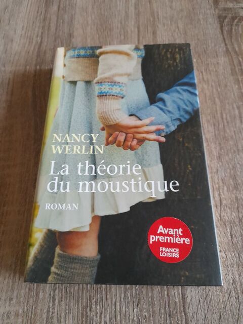 La thorie du moustique 5 Tours (37)