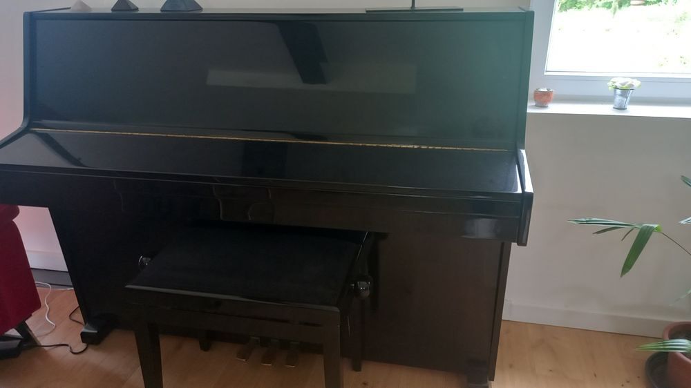 PIANO droit Roth et Julius Instruments de musique