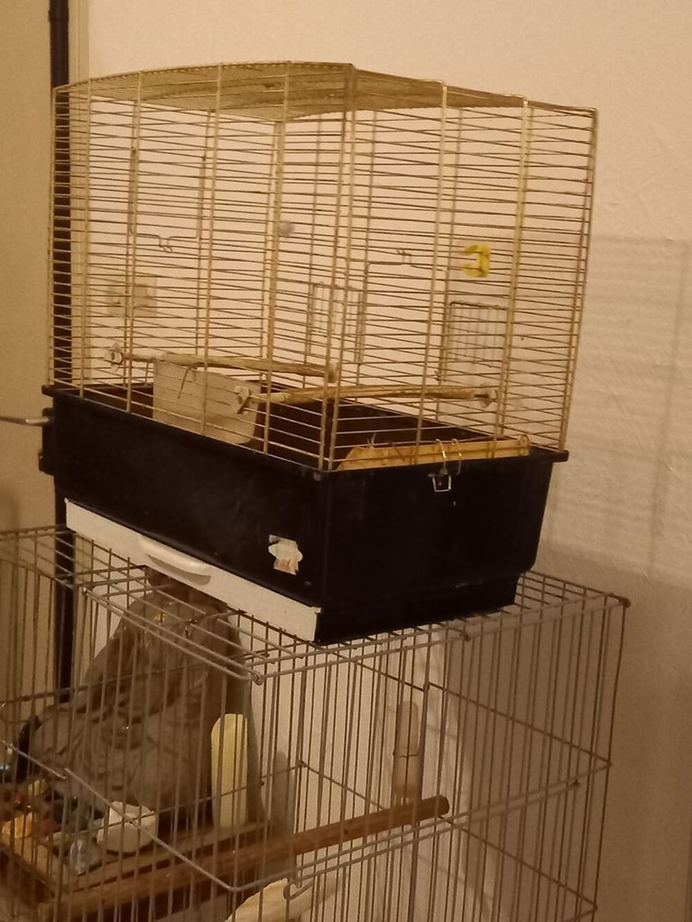   cage et volières 
