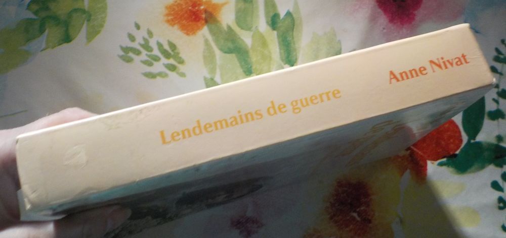 LENDEMAINS DE GUERRE en Afghanistan et en Irak Anne NIVAT Livres et BD