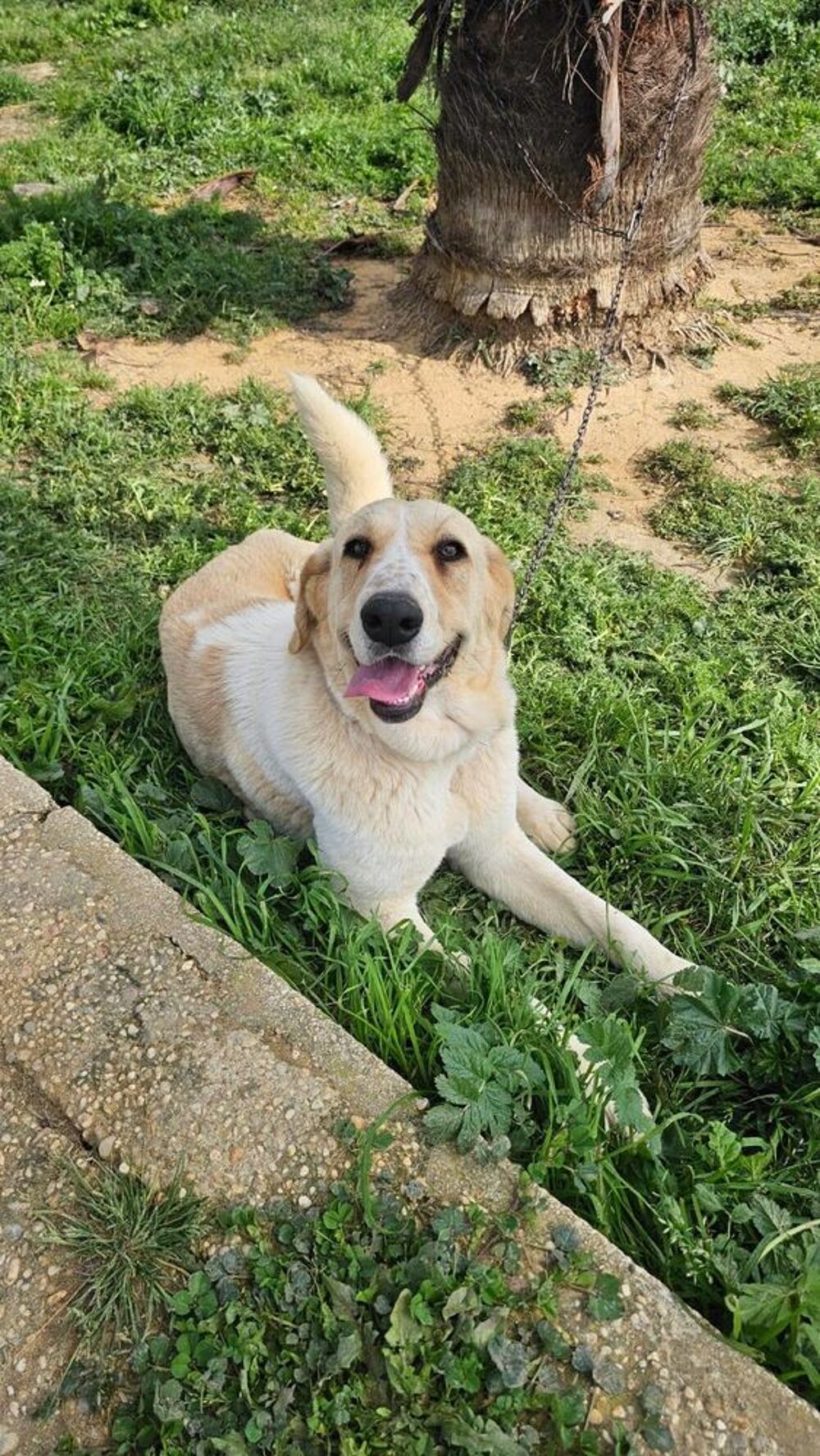   MATILDA  