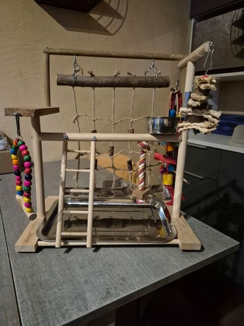 Aire de jeu perruche/perroquet 30 40200 Mimizan