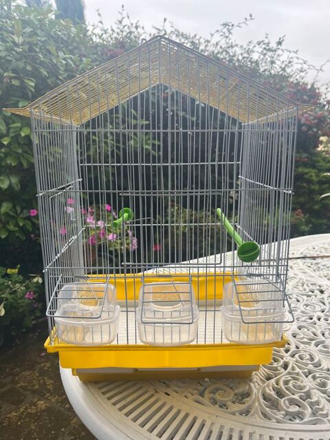 cage �  oiseaux 30 Beynes (78)
