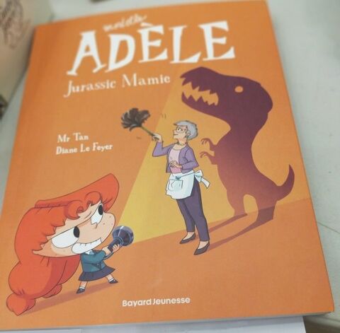 des livres enfants 'Mortelle Ad�le'
7 Mirecourt (88)