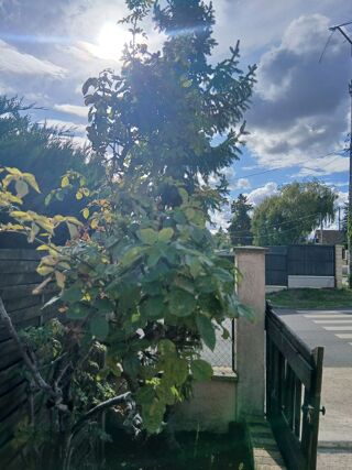  Terrain � louer 200 m�