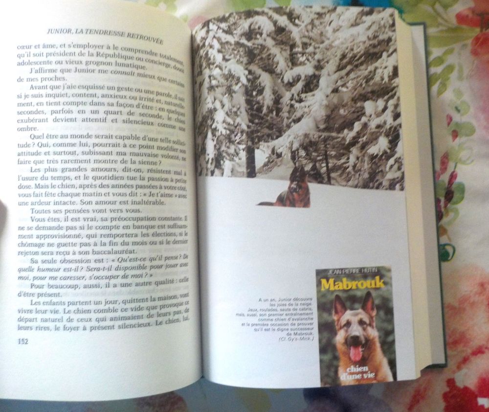 JUNIOR La tendresse retrouv&eacute;e par Jean-Pierre HUTIN Livres et BD