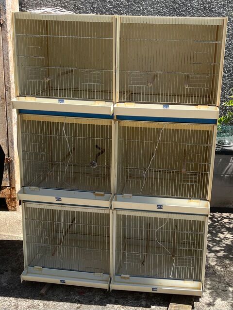 Batteries cages d'élevage PVC 110 77130 Ville-saint-jacques