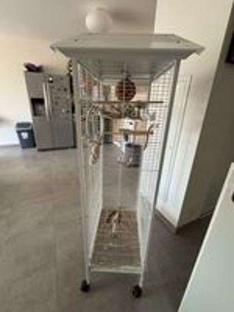   Perruche + cage  