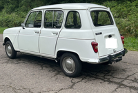 Divers 4l 1973 occasion 65000 Tarbes