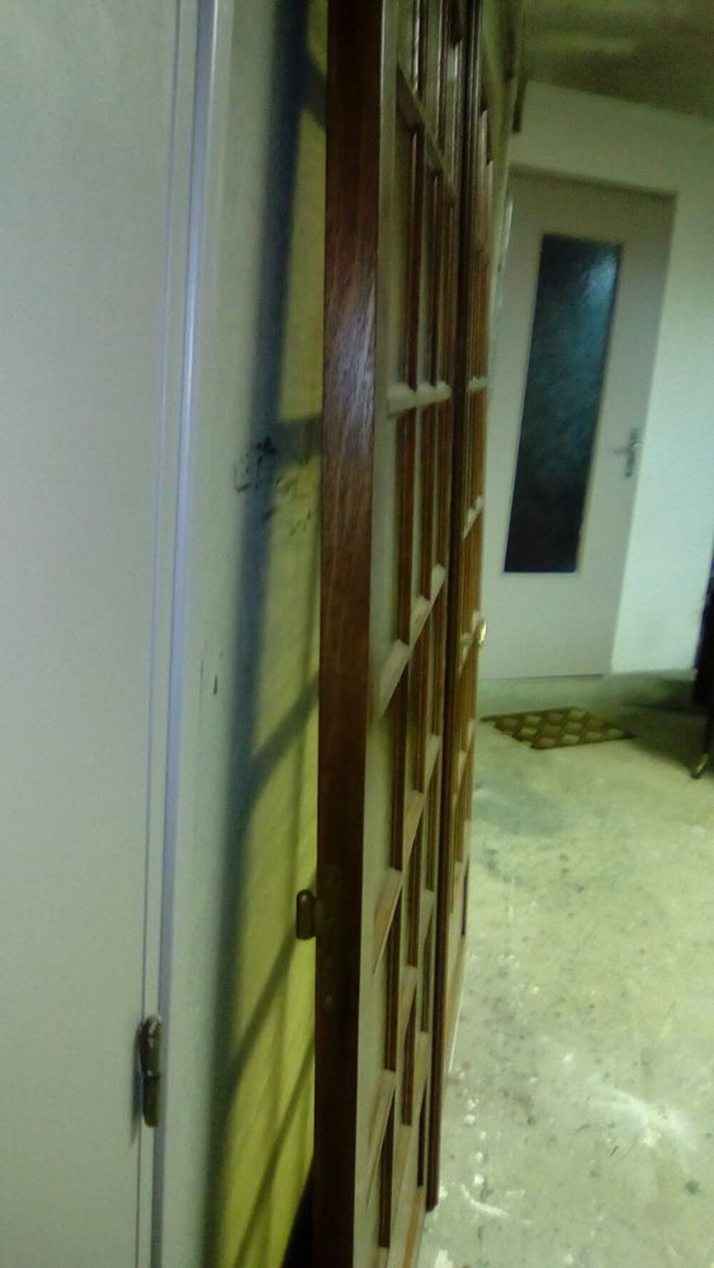 portes doubles de salon Bricolage
