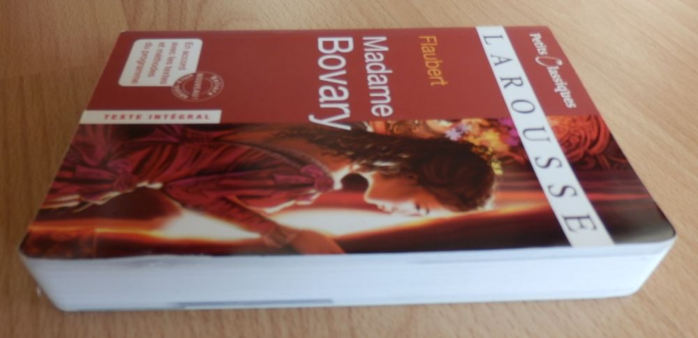 Livre : Madame Bovary (Poche) : NEUF Livres et BD