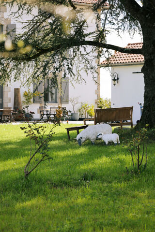  H�tel Particulier � vendre 12 pi�ces 410 m�