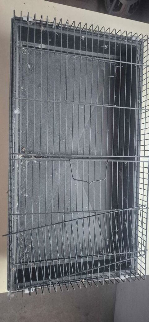 cage noir 40 Grisy-Suisnes (77)