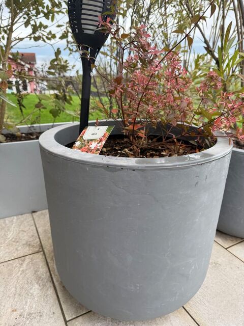 Pots et plantes 10 Cormoz (01)