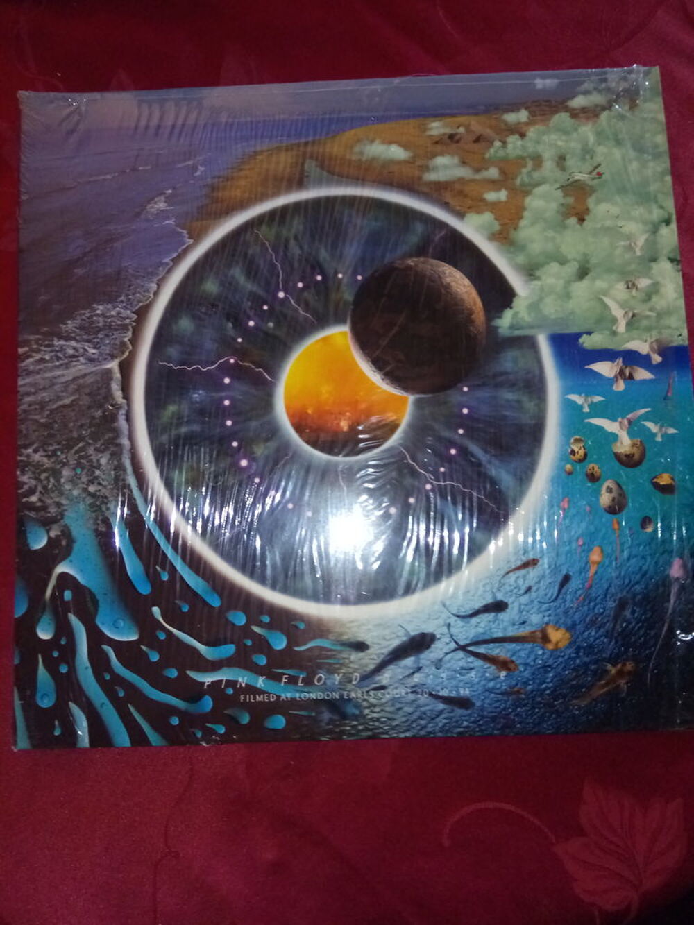 laserdisc Photos/Video/TV