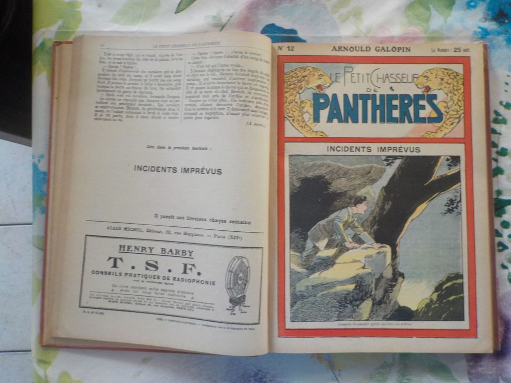 LE PETIT CHASSEUR DE PANTHERES N&deg;1 &agrave; 50 1928 ARNOULD GALOPIN Livres et BD