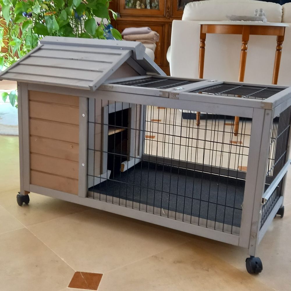 maison pour animaux Jardin