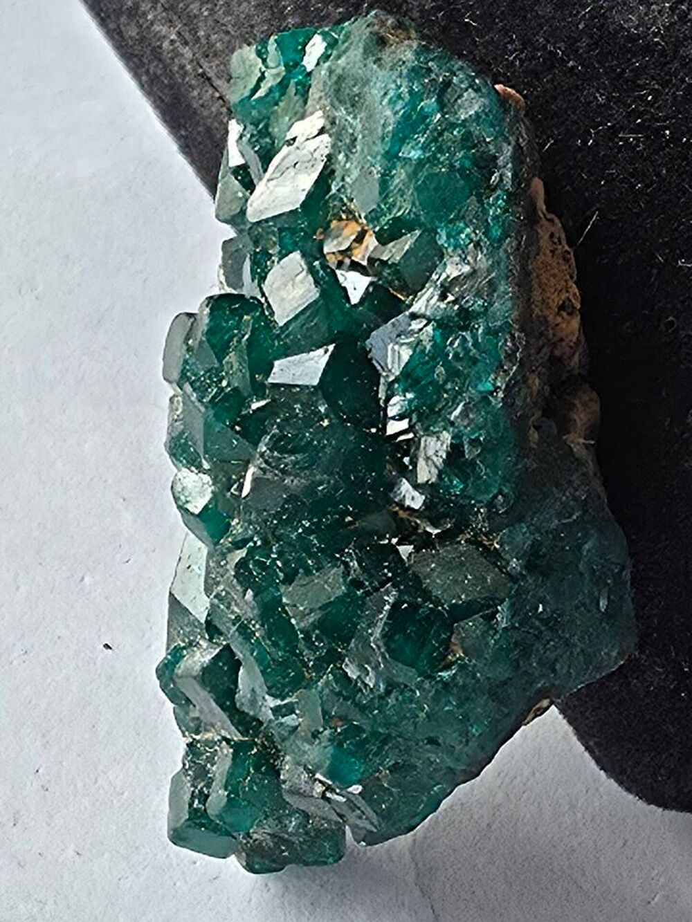 V&eacute;ritable Dioptase sur matrice RDC-Sp&eacute;cimen d'exception 