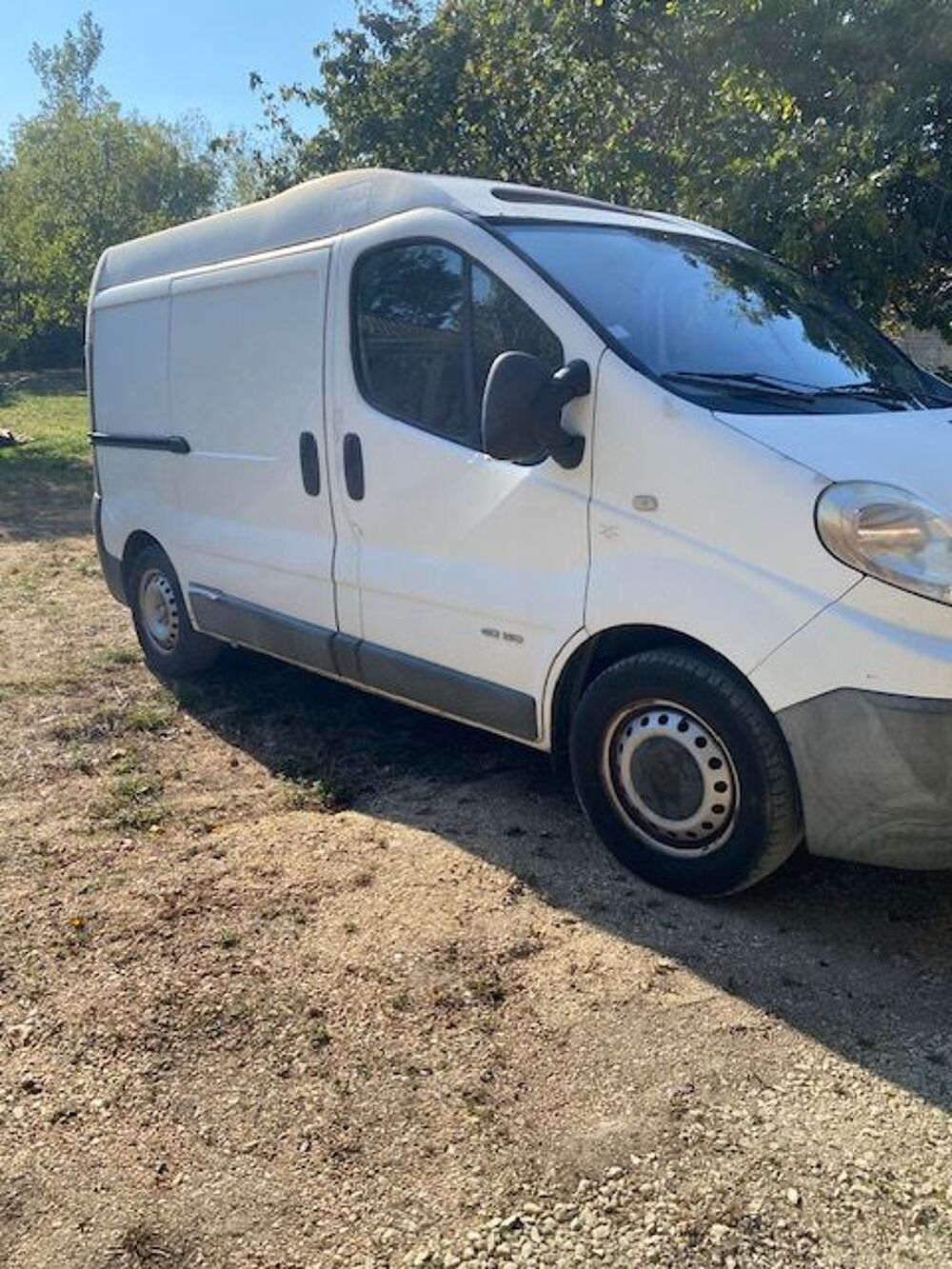 Trafic TRAFIC FGN 2.5 DCI 150 FAP L1H1 1000 KG CONFORT 2007 occasion 85300 Le Perrier